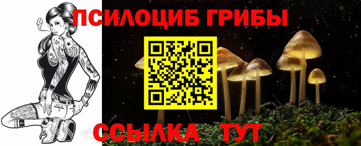 Галлюциногенные грибы GOLDEN TEACHER Бор